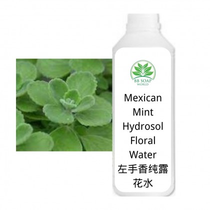(Ready in melaka) Mexican Mint Hydrosol/Floral Water 左手香纯露 (3074)