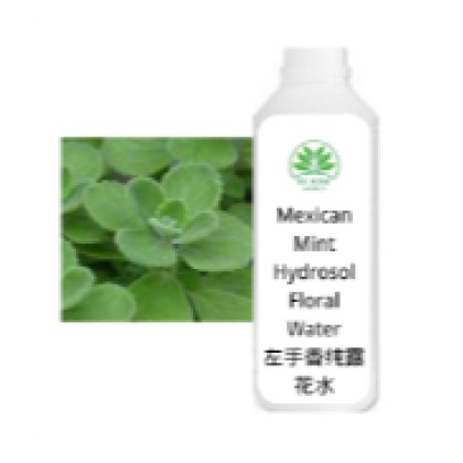 (Ready in melaka) Mexican Mint Hydrosol/Floral Water 左手香纯露 (3074)