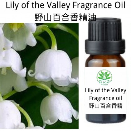 (Ready in melaka) Lily of the Valley Fragrance Oil 野山百合香精油 (1339) (Ready in melaka) Lily of the Valley Fragrance Oil 野山百合香精油 (1339)
